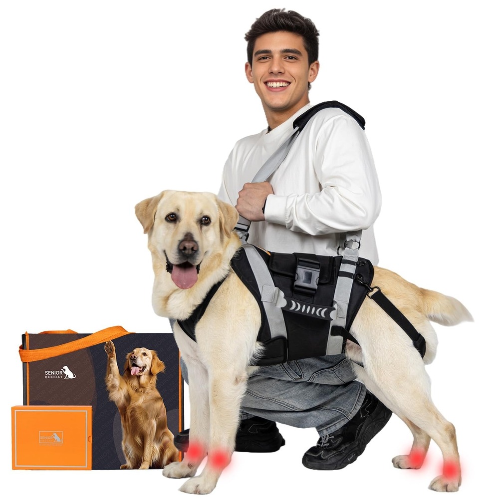 SENIOR BUDDAY Dog Lift Harness Full Body Support Sling Large Dogs Black XL